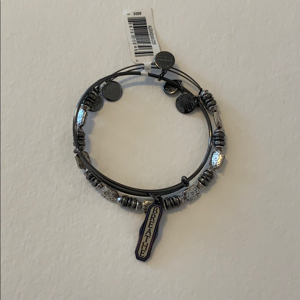 Alex and Ani Breathe Set of 2 in Midnight Silver